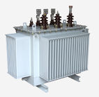 100-3150KVA Dry Type Step Down Transformer Oil Immersed Power Transformer